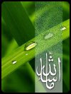 Islamic Greeting Card by Alhabib