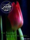 Islamic Greeting Card by Alhabib