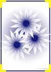 Islamic Greeting Card by Alhabib