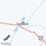 Map for location: Salinas, Mexico